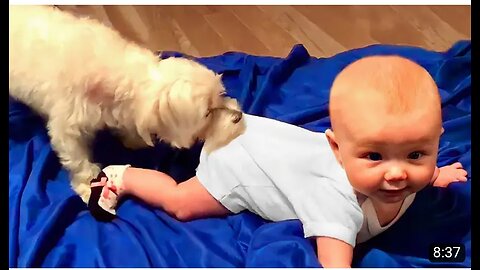 Funny puppy 😂😂😂 crazy 🤗🤗🙏 part 3 2023
