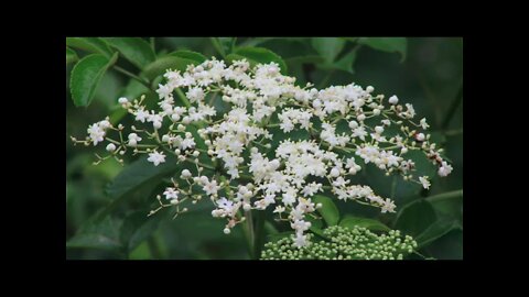 Views of October Mountain