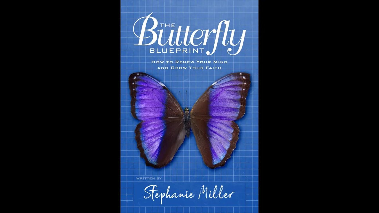 The Butterfly Blueprint: The Butterfly Book by Stephanie Miller