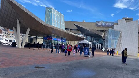 The New England Aquarium - TWE 0341