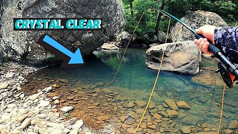 "Wilderness Fishing Adventure & Campfire Cooking"
