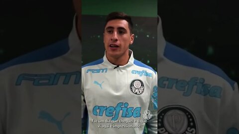 Miguel "La Bestia09" Merentiel novo Matador Alviverde #shorts