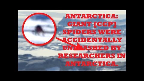 ANTARCTICA GIANT SPIDERS ACCIDENTALLY UNLEASHED