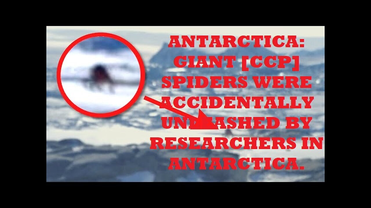 ANTARCTICA GIANT SPIDERS ACCIDENTALLY UNLEASHED