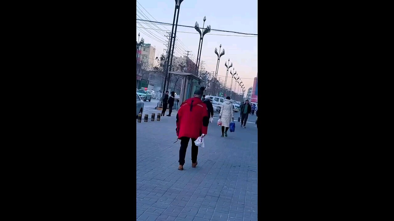 funny videos