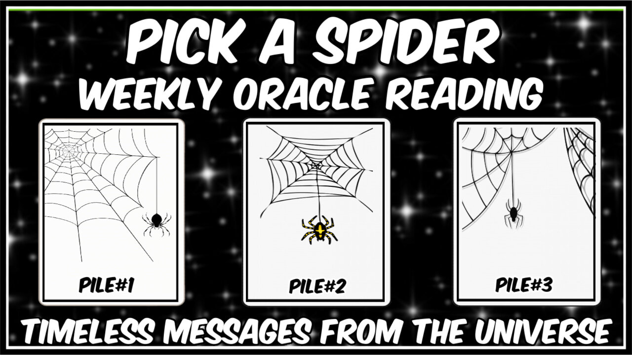 Pick A Card l Weekly Oracle Reading l Messages From The Universe l Timeless Reading 🕷🕸🕷🕸