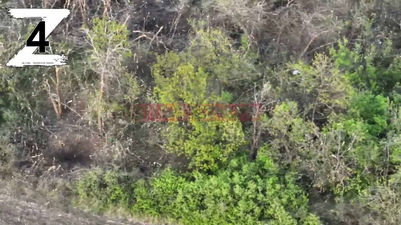 Video of the shelling of the AFU positions from the 4th brigade of the LPR