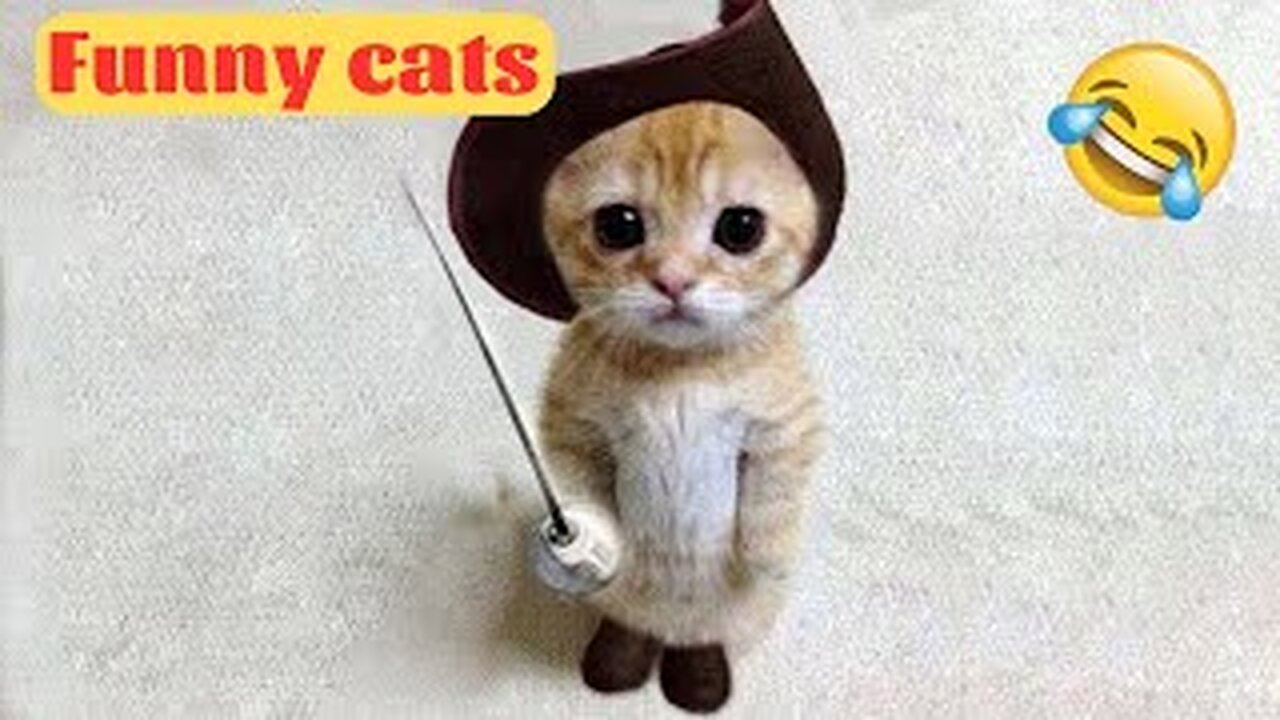 Funny animal 2023 - Funny Cats and Cute Kittens Playing Compilation