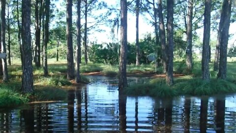 Back Yard 2022 flood
