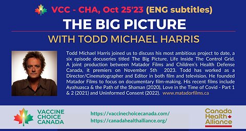 The Big Picture Film - Todd Michael Harris