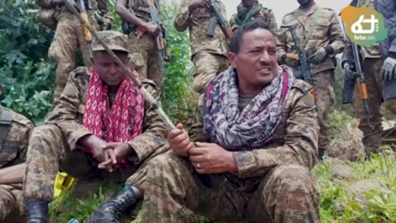 ሀሙሲት ላይ እንደቅጠል የረገፈው የህወሓት ታጣቂ