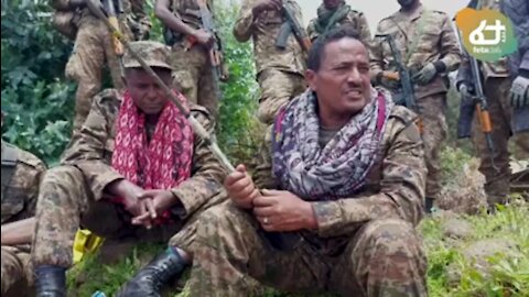 ሀሙሲት ላይ እንደቅጠል የረገፈው የህወሓት ታጣቂ