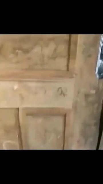 Perfect timing ⏱️