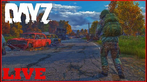 First time playing DayZ