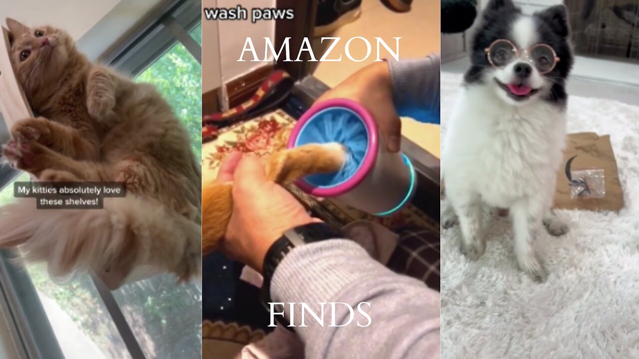 🔥Tik Tok amazon Pets Part 1/ Tik Tok Made Me Buy 🔥