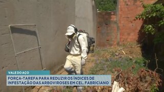 Vale do Aço: força-tarefa para reduzir os índices de infestação das arboviroses em Cel. Fabrici