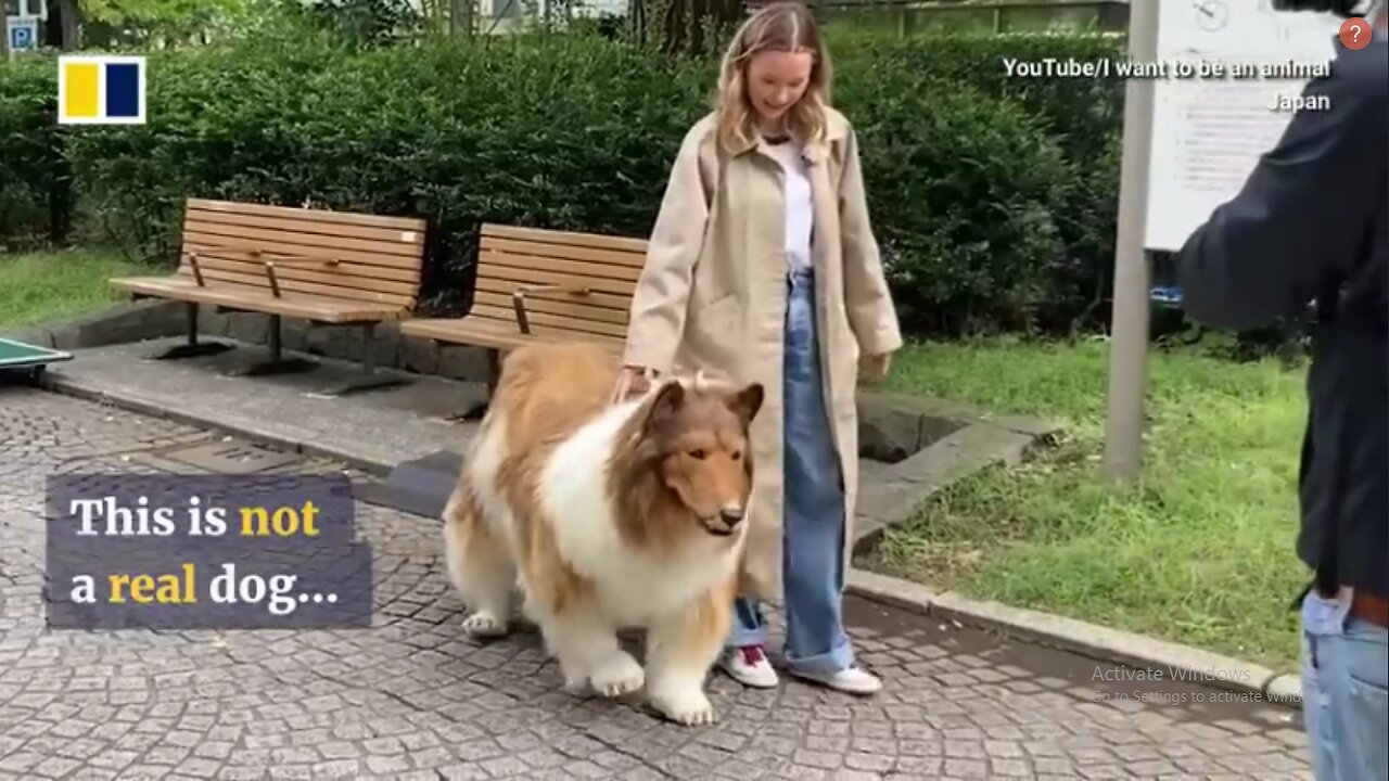 Japanese Man Transforms Into a Dog