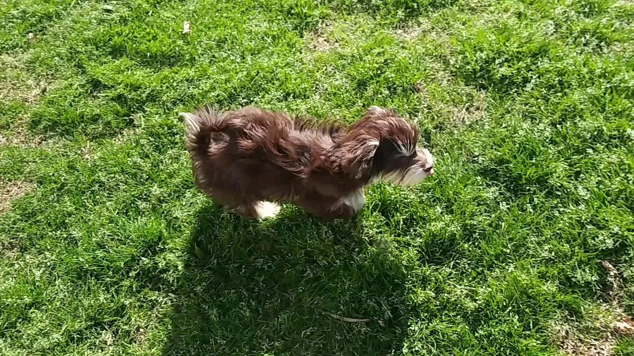 Rayna & Jasmine - 1st Day Of Sunshine