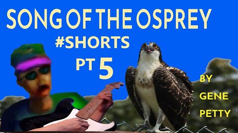 Song of the Osprey Pt 5 By Gene Petty #Shorts