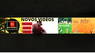 LIVE PRAGAS E DOENÇAS