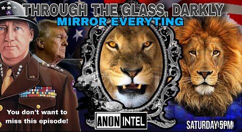 ANON☆INTEL : THROUGH THE GLASS, DARKLY