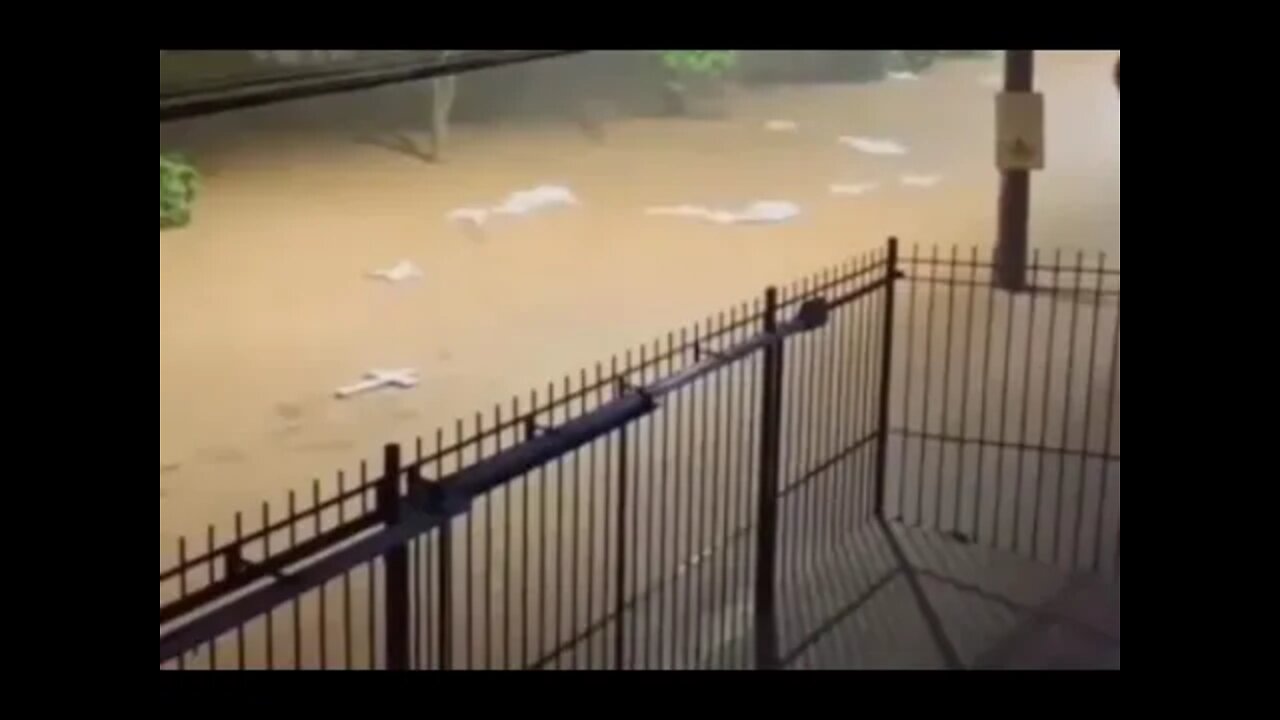 NOVA TRAGEDIA: Novo temporal em Petrópolis deixa cinco pessoas mortas #SHORTS