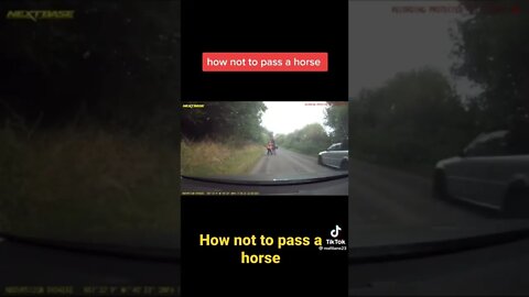 How not to pass a horse