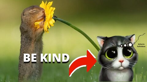 Always Be Kind!!!#shorts