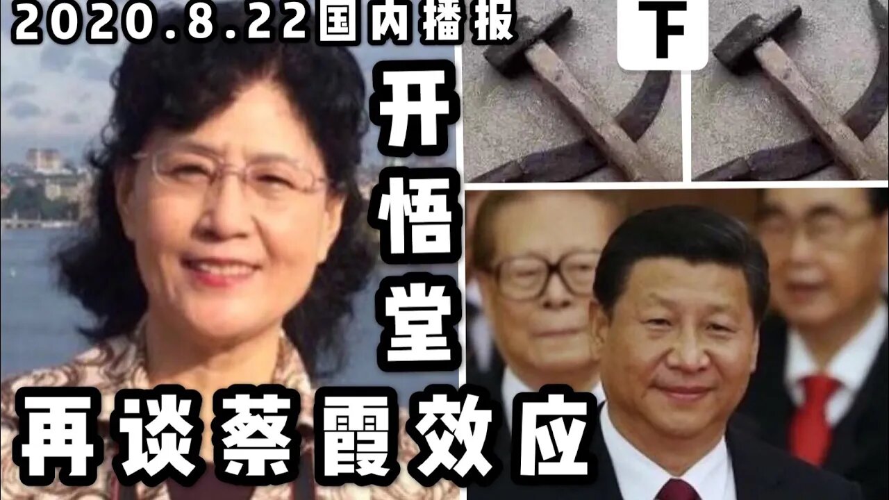 再谈蔡霞效应/2020 8 22国内播报下/开悟堂