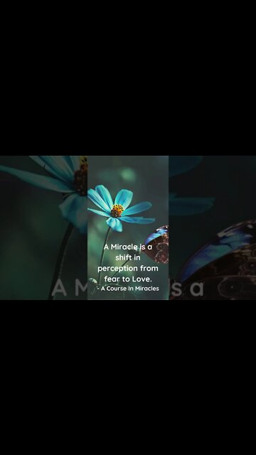 A Shift In Perception