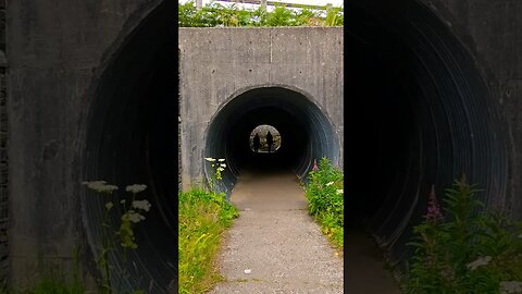 The tunnel on The West Highland Way Scotland #westhighlandway