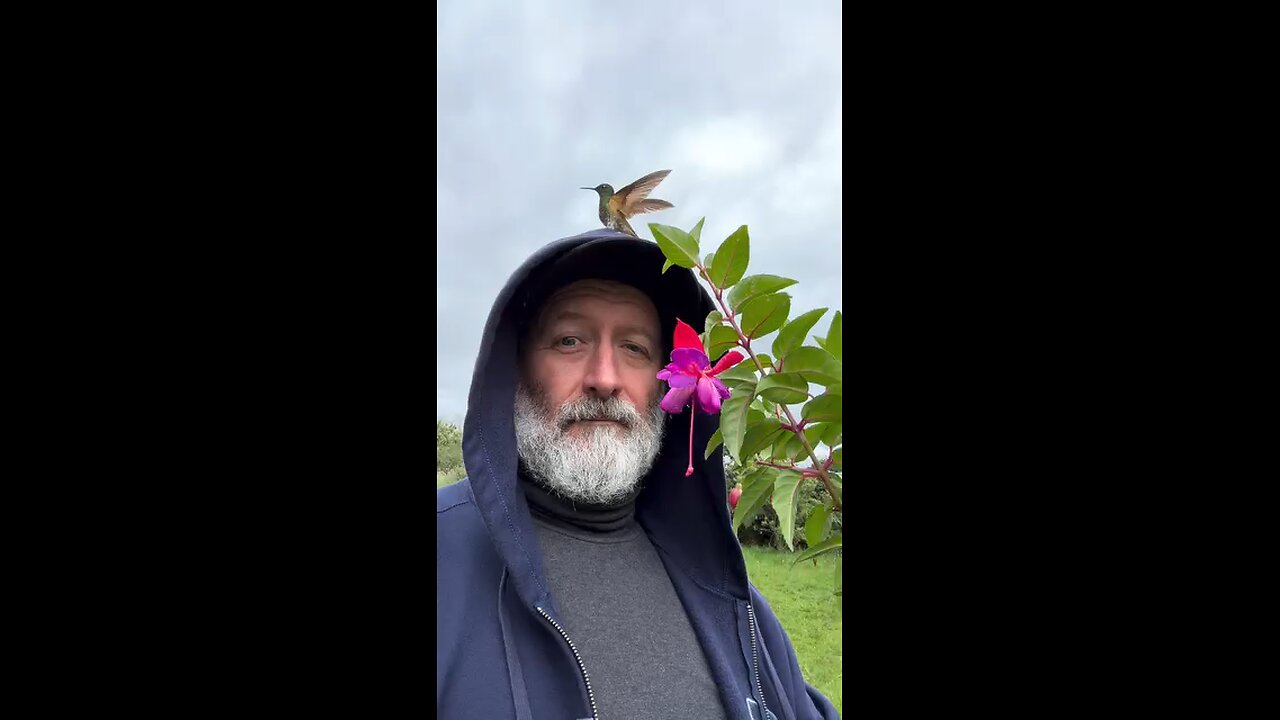 Pure Magic in Colombia Holding a Flower I Became Part Of a Breathtaking Dance With a hummingbird