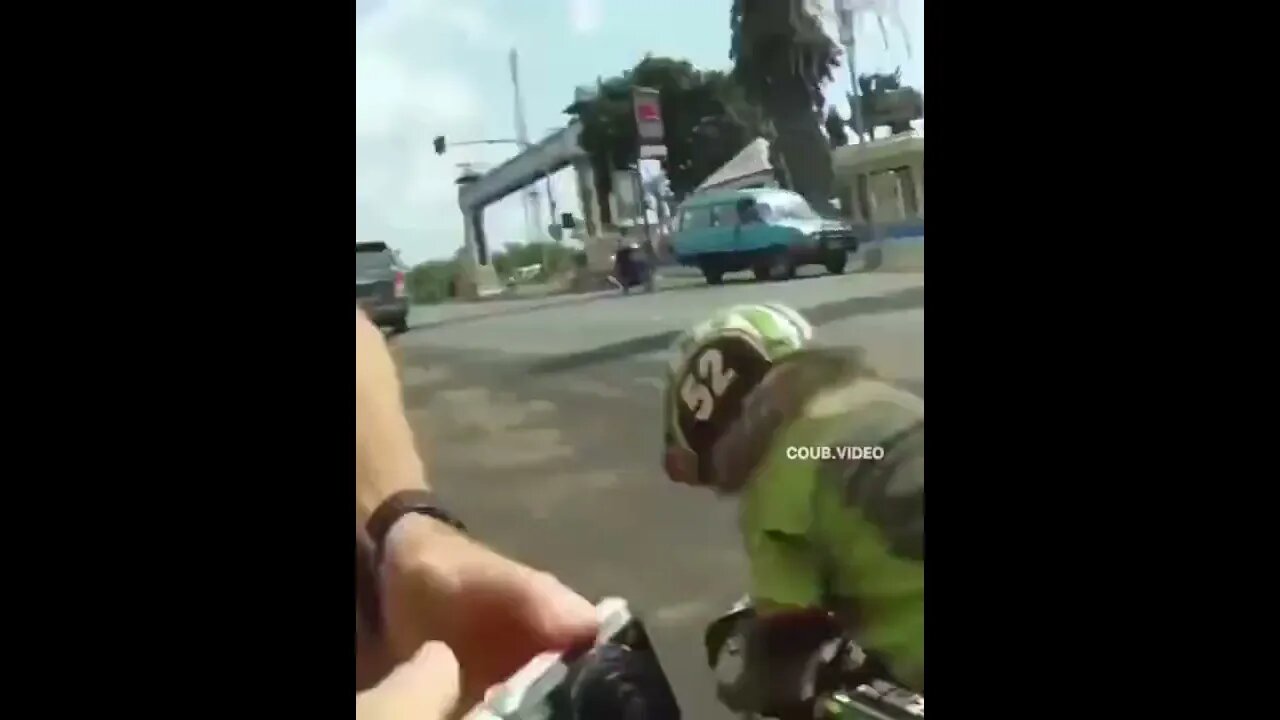 SHORT: QUE VERGONHA DA MINHA JUVENTUDE