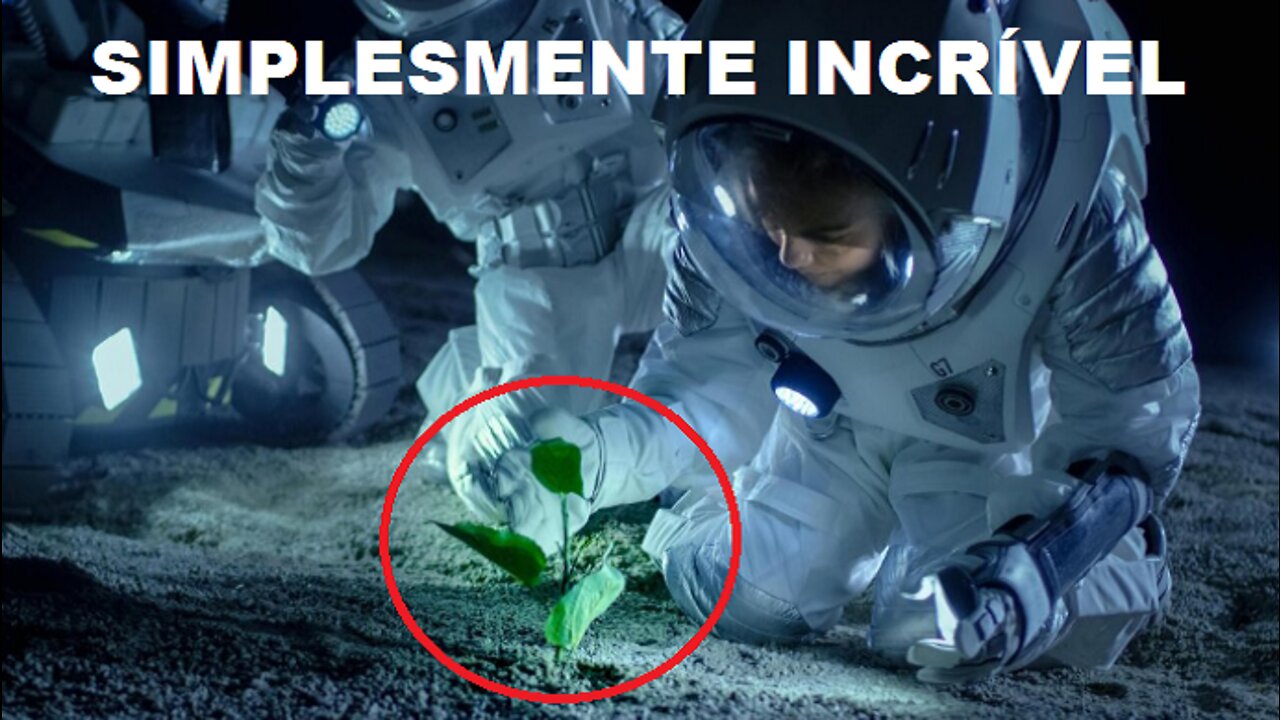 INCRÍVEL! Cientistas cultivam plantas em solo lunar pela primeira vez na história