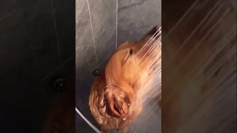 U ok there mate🤣😂 please make this viral | #shorts | #viral | #funny
