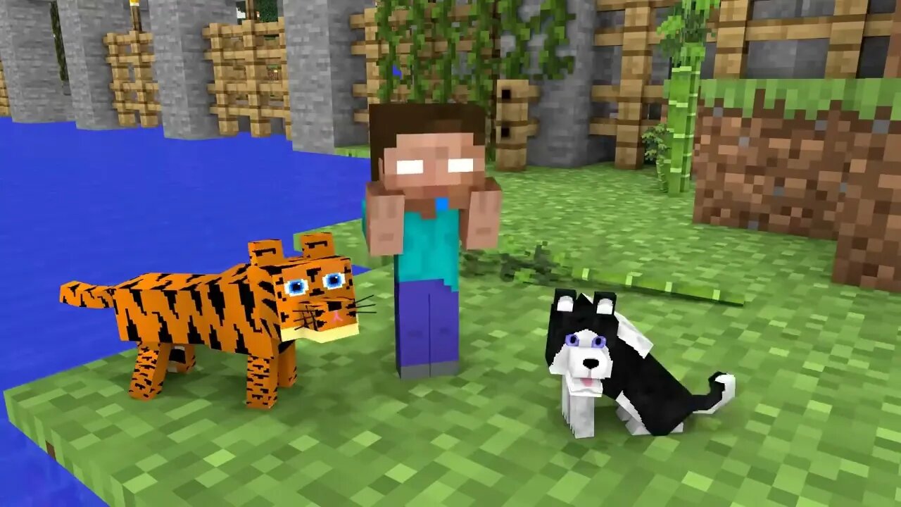 Monster School Who Took Baby Herobrine's Dog Minecraft Animation