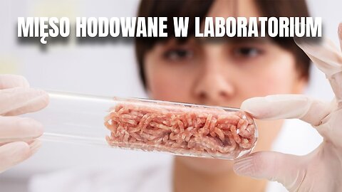 MIĘSO HODOWANE W LABORATORIUM