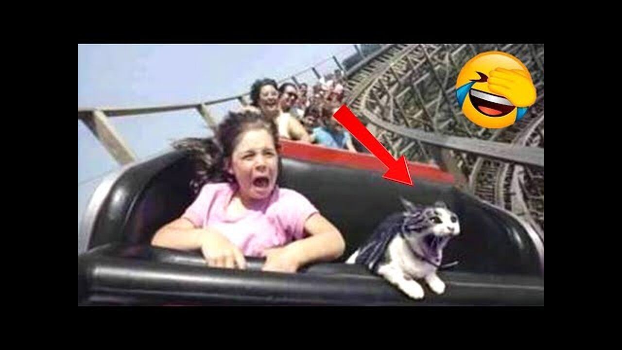 Funny Animal Videos 2022 😂 - Funniest Cats And Dogs Videos 😺😍