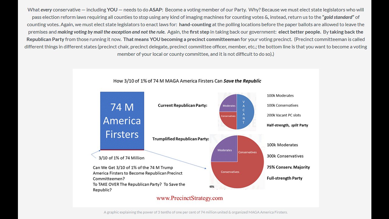 Precinct Strategy Will Americans Save Their Republic? How. Dan Schultz March 21 2023