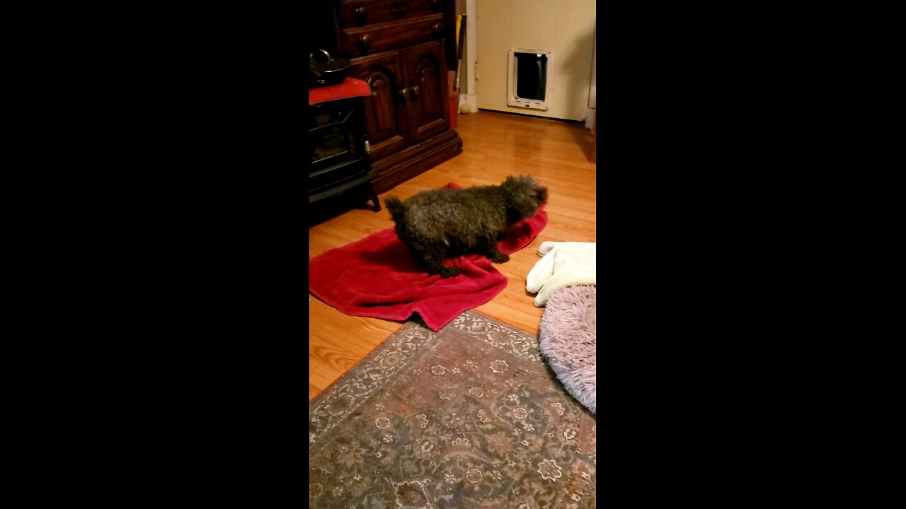 guess who had a bath