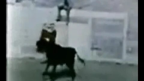 ۲۹ ژوئیهٔ ۲۰۲۲