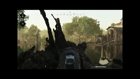 Hunt: Showdown Pt.36