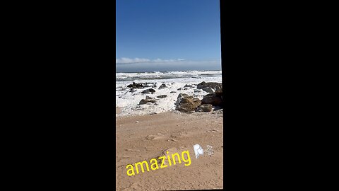 amazing 💨💨 #floridalife #wind #nature #naturelovers #roberttraveler #naturephotography