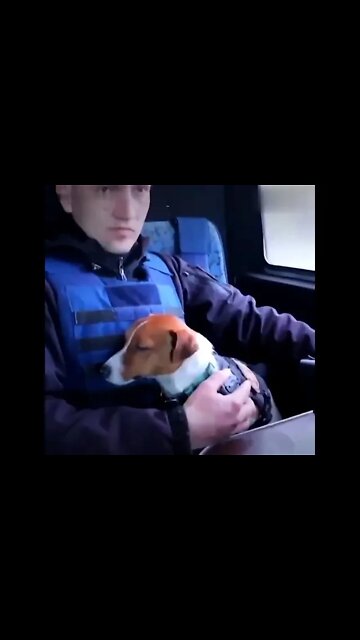 💙💛 Український пес Патрон став зіркою американських ЗМІ.