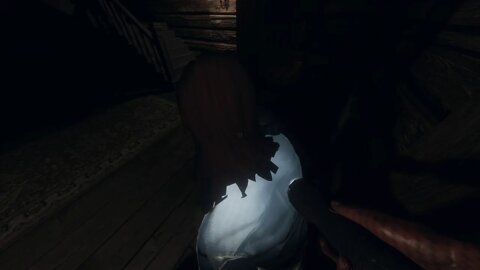 Phasmophobia, first time playing.