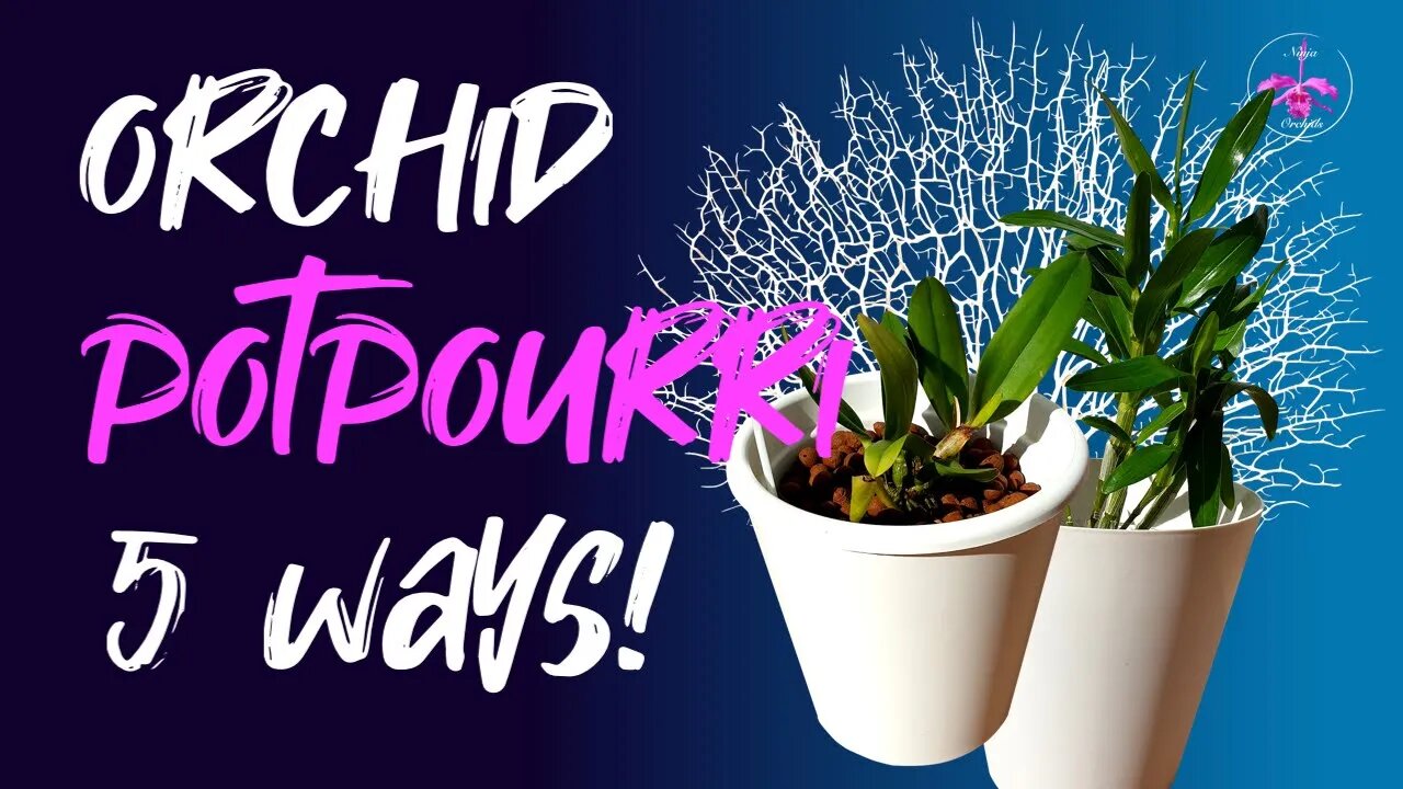 5 DIFFERENT WAYS to pot up #Orchids | Orchids are FUN!! 🤣