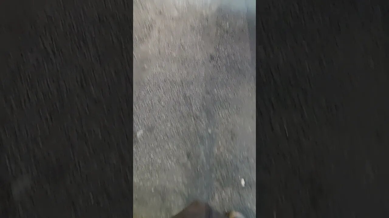 The NYPD and their civilian team are harassing me on the sidewalk and in the streets in NYC.