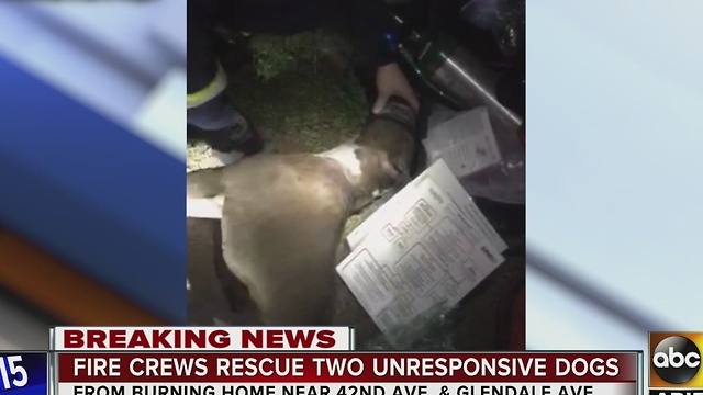 Two dogs rescued from house fire, Fido bags used