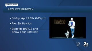 Pawject Runway returns to in-person in 2022 with a new location