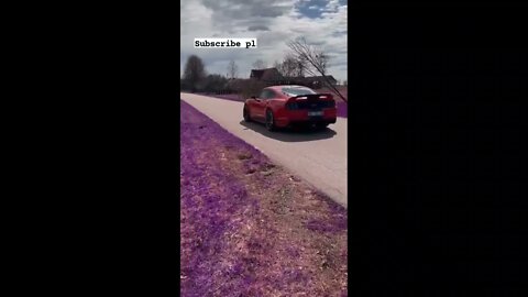 superloud cars in beautiful place 🥵🥶 #onepercent_clubb